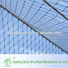 Stainless Steel High Quality Aviary Mesh for Grapes